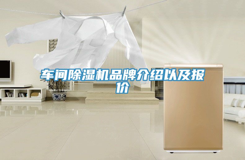 車間91看片软件大全品牌介紹以及報價