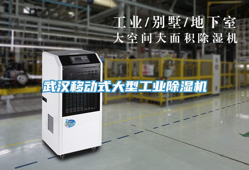武漢移動式大型工業91看片软件大全