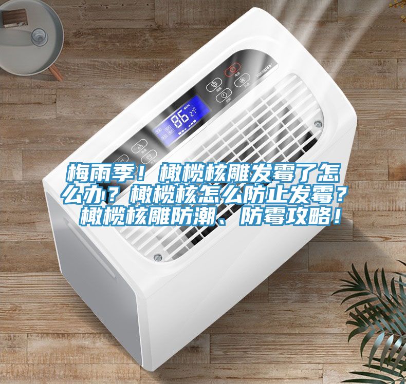 梅雨季！橄欖核雕發黴了怎麽辦？橄欖核怎麽防止發黴？ 橄欖核雕防潮、防黴攻略！
