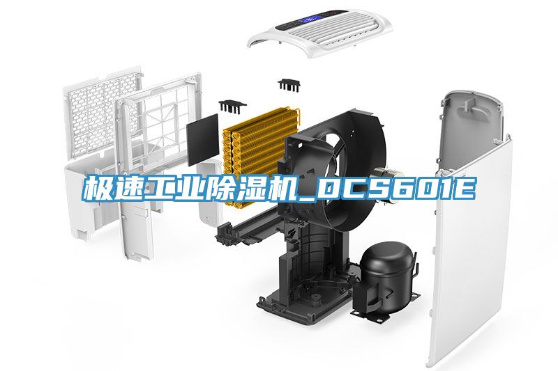 極速工業91看片软件大全_DCS601E