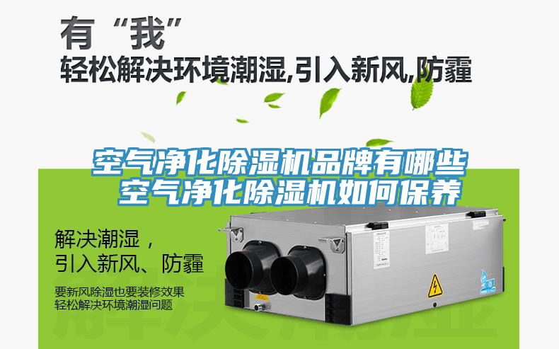 空氣淨化91看片软件大全品牌有哪些 空氣淨化91看片软件大全如何保養