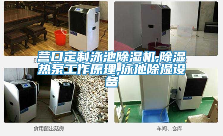 營口定製泳池91看片软件大全,除濕熱泵工作原理,泳池除濕設備