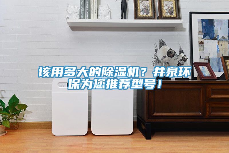 該用多大的91看片软件大全？井泉環保為您推薦型號！