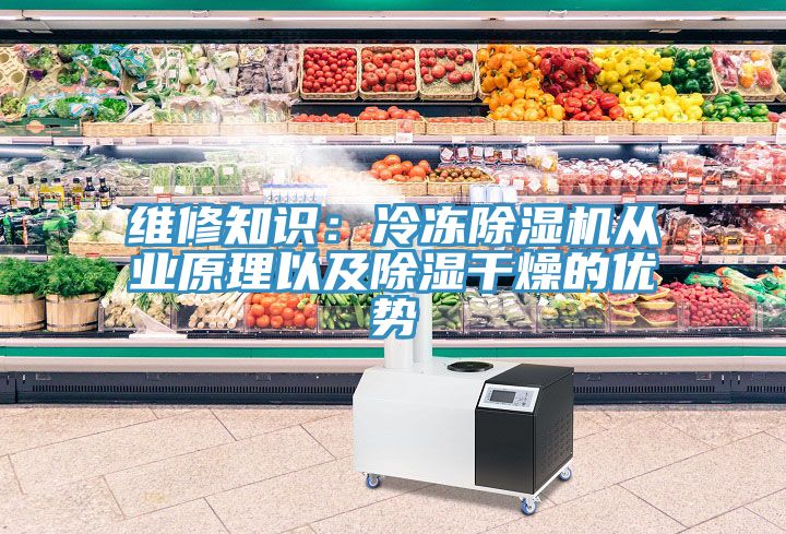 維修知識：冷凍91看片软件大全從業原理以及除濕幹燥的優勢