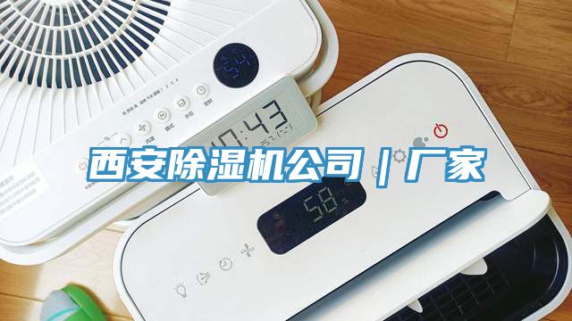 西安91看片软件大全公司｜廠家