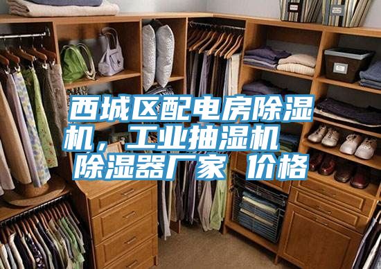 西城區配電房91看片软件大全，工業抽濕機  除濕器廠家 價格