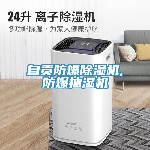 自貢防爆91看片软件大全,防爆抽濕機