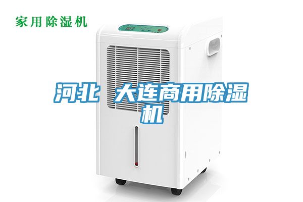 河北 大連商用91看片软件大全