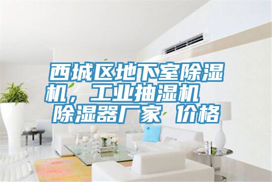 西城區地下室91看片软件大全，工業抽濕機  除濕器廠家 價格