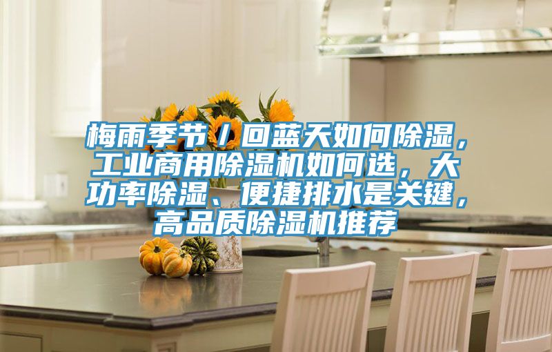 梅雨季節／回藍天如何除濕，工業商用91看片软件大全如何選，大功率除濕、便捷排水是關鍵，高品質91看片软件大全推薦