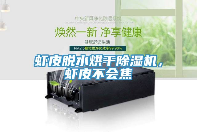 蝦皮脫水烘幹91看片软件大全，蝦皮不會焦