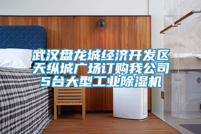 武漢盤龍城經濟開發區天縱城廣場訂購我公司5台大型工業91看片软件大全