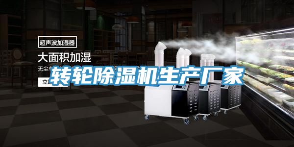 轉輪91看片软件大全生產廠家