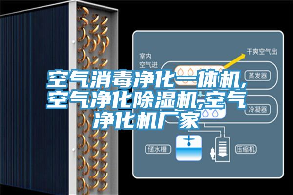 空氣消毒淨化一體機,空氣淨化91看片软件大全,空氣淨化機廠家