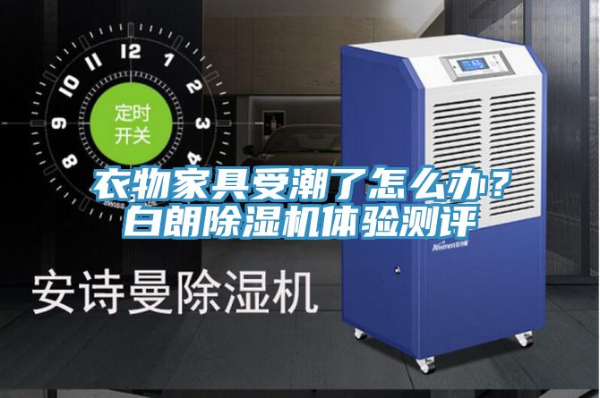 衣物家具受潮了怎麽辦？白朗91看片软件大全體驗測評