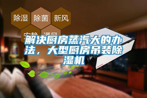 解決廚房蒸汽大的辦法，大型廚房吊裝91看片软件大全
