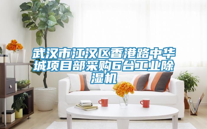武漢市江漢區香港路中華城項目部采購6台工業91看片软件大全