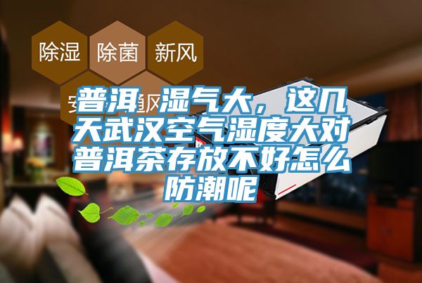 普洱 濕氣大，這幾天武漢空氣濕度大對普洱茶存放不好怎麽防潮呢