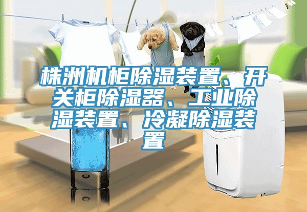 株洲機櫃除濕裝置、開關櫃除濕器、工業除濕裝置、冷凝除濕裝置
