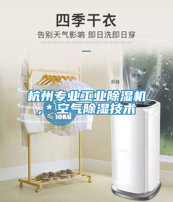 杭州專業工業91看片软件大全,＊空氣除濕技術