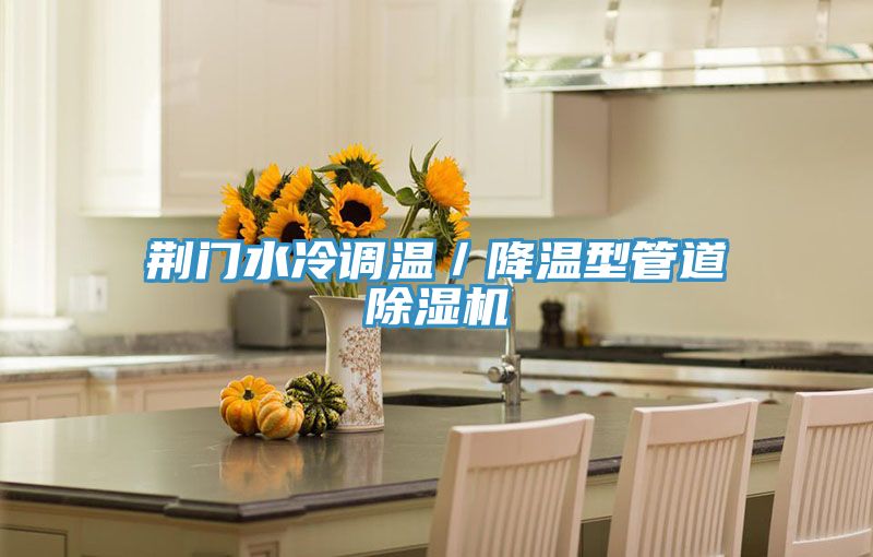 荊門水冷調溫／降溫型管道91看片软件大全