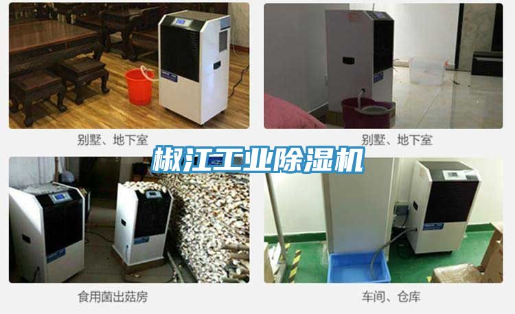 椒江工業91看片软件大全