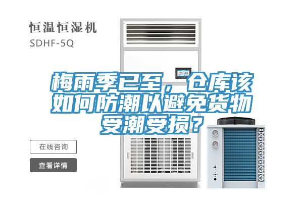梅雨季已至，倉庫該如何防潮以避免貨物受潮受損？