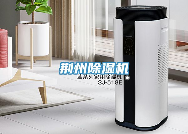 荊州91看片软件大全