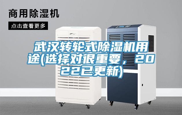武漢轉輪式91看片软件大全用途(選擇對很重要，2022已更新)