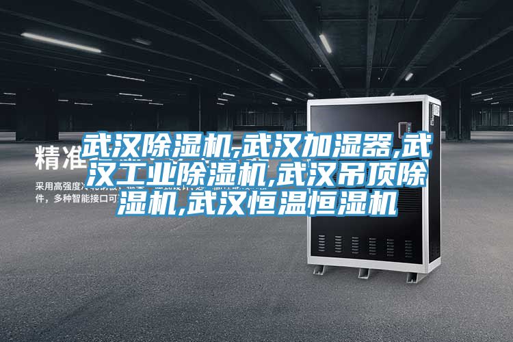 武漢91看片软件大全,武漢加濕器,武漢工業91看片软件大全,武漢吊頂91看片软件大全,武漢恒溫恒濕機