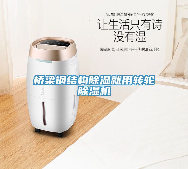 橋梁鋼結構除濕就用轉輪91看片软件大全