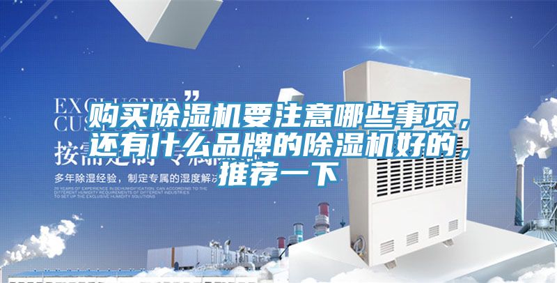 購買91看片软件大全要注意哪些事項，還有什麽品牌的91看片软件大全好的，推薦一下