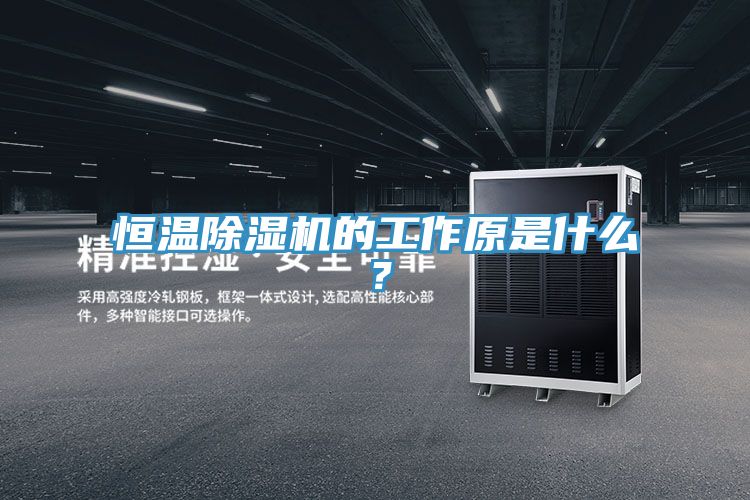 恒溫91看片软件大全的工作原是什麽？