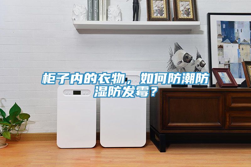 櫃子內的衣物，如何防潮防濕防發黴？