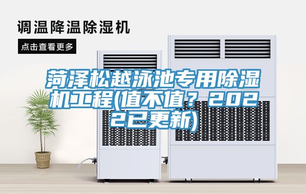 菏澤鬆越泳池專用91看片软件大全工程(值不值？2022已更新)