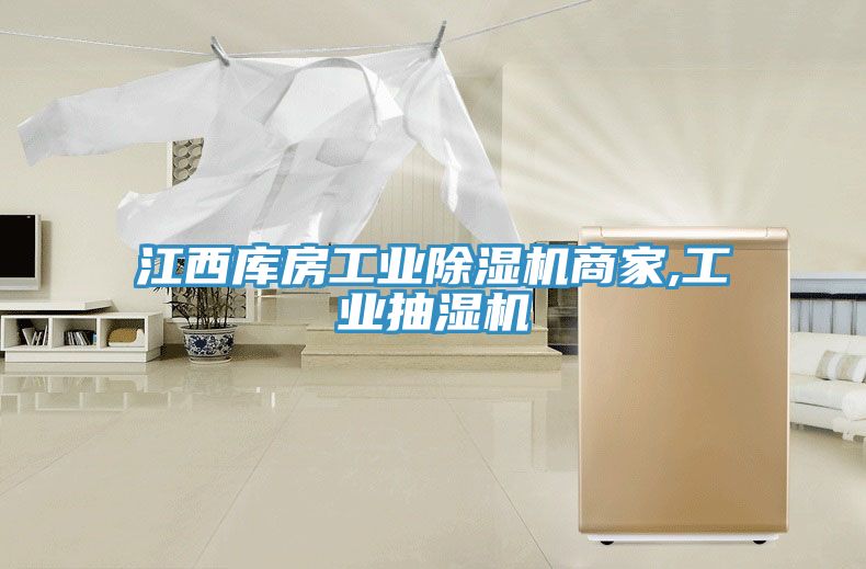 江西庫房工業91看片软件大全商家,工業抽濕機
