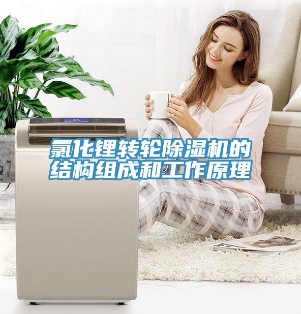 氯化鋰轉輪91看片软件大全的結構組成和工作原理