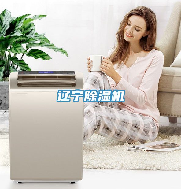 遼寧91看片软件大全