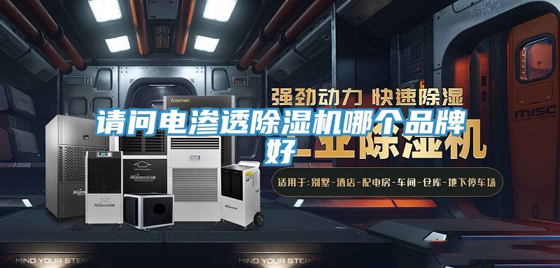 請問電滲透91看片软件大全哪個品牌好