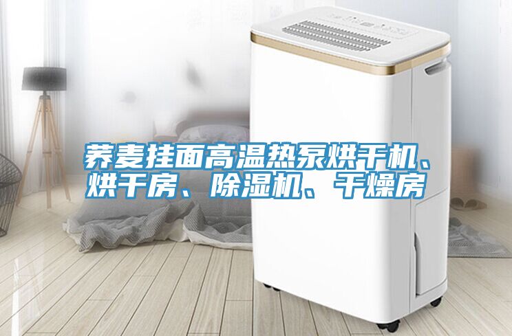 蕎麥掛麵高溫熱泵烘幹機、烘幹房、91看片软件大全、幹燥房