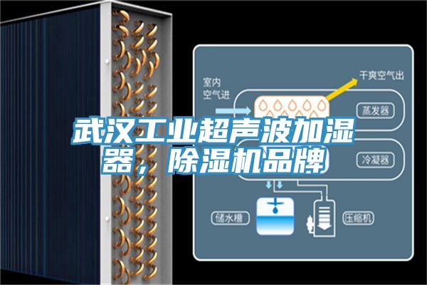 武漢工業超聲波加濕器，91看片软件大全品牌