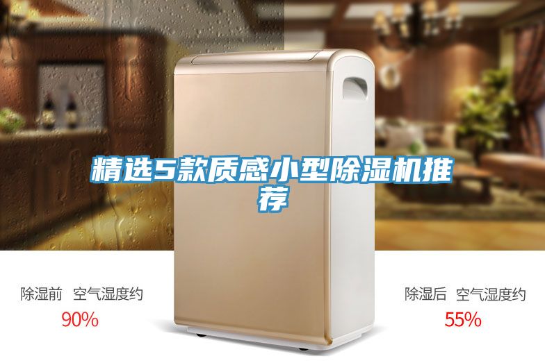 精選5款質感小型91看片软件大全推薦