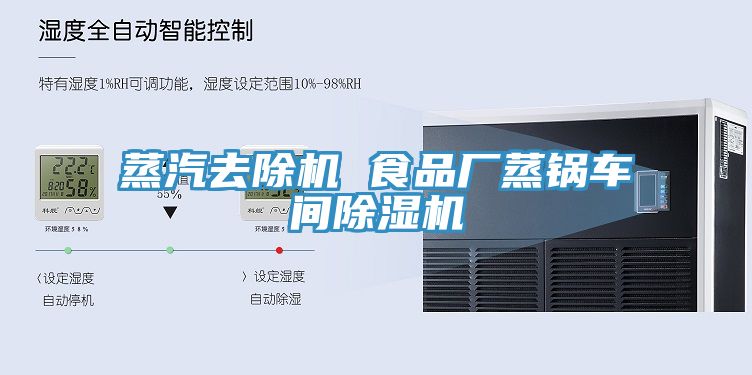 蒸汽去除機 食品廠蒸鍋車間91看片软件大全