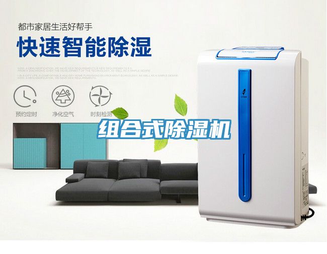 組合式91看片软件大全