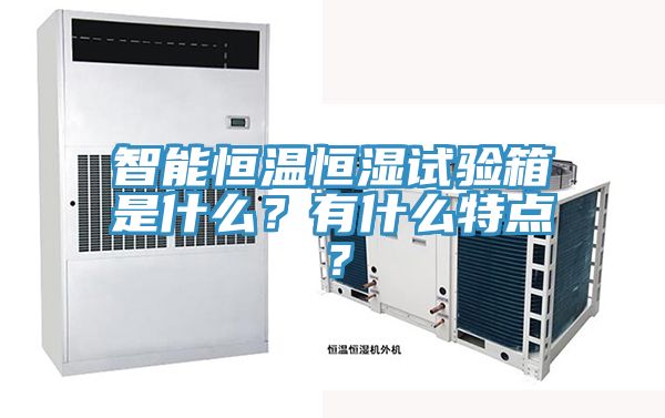 智能恒溫恒濕試驗箱是什麽？有什麽特點？