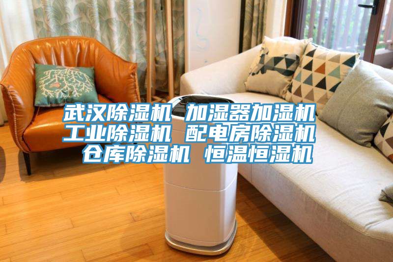 武漢91看片软件大全 加濕器加濕機 工業91看片软件大全 配電房91看片软件大全 倉庫91看片软件大全 恒溫恒濕機