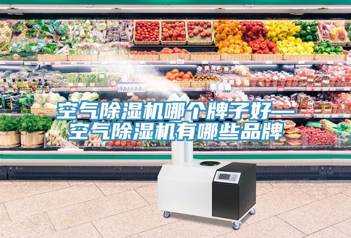 空氣91看片软件大全哪個牌子好—空氣91看片软件大全有哪些品牌