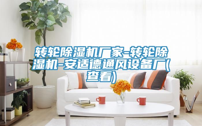 轉輪91看片软件大全廠家-轉輪91看片软件大全-安適德通風設備廠(查看)