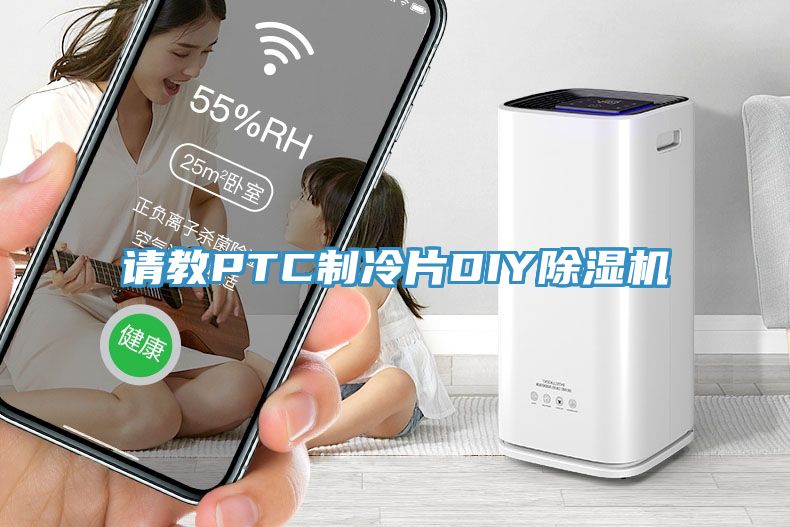 請教PTC製冷片DIY91看片软件大全