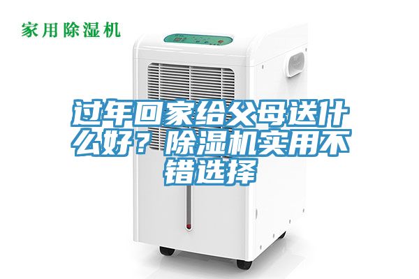 過年回家給父母送什麽好？91看片软件大全實用不錯選擇